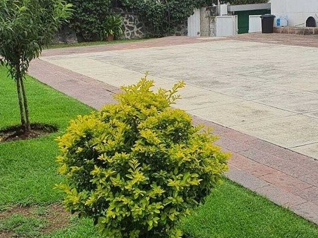 place photo 34