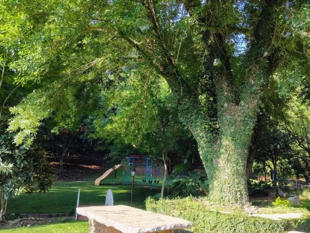 place photo 29