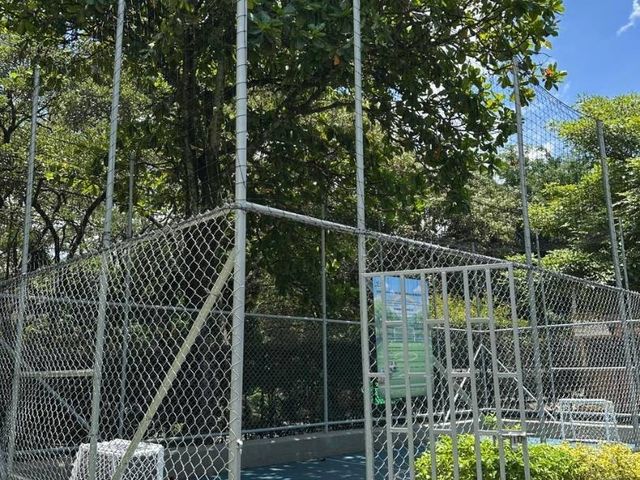 place photo 16