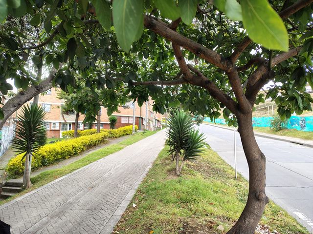 place photo 28