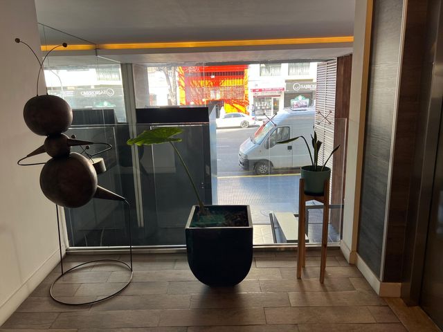place photo 33