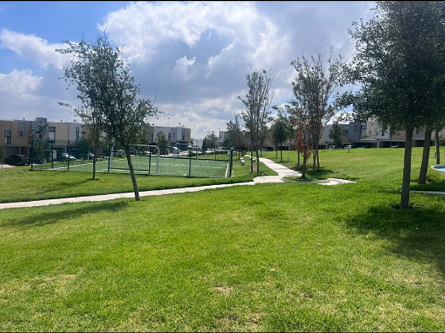 place photo 36