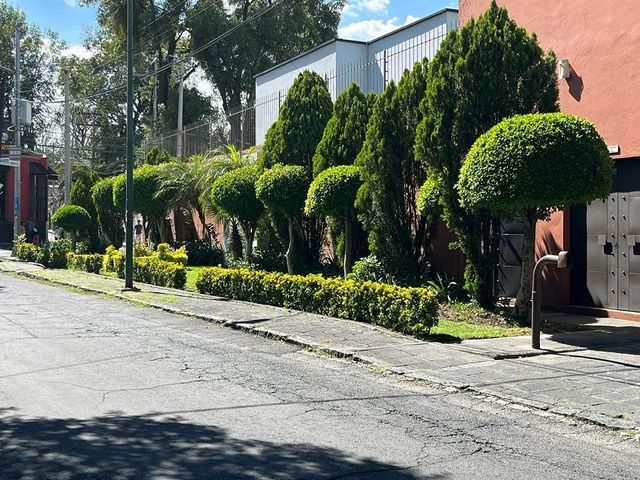 place photo 28