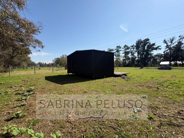 place photo 17