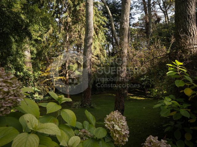 place photo 68