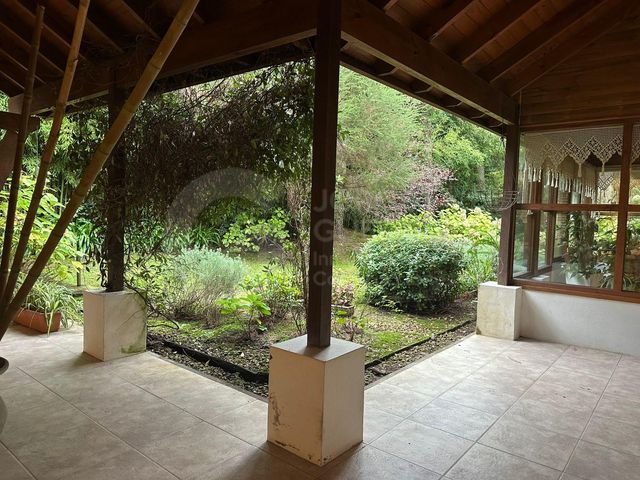 place photo 54