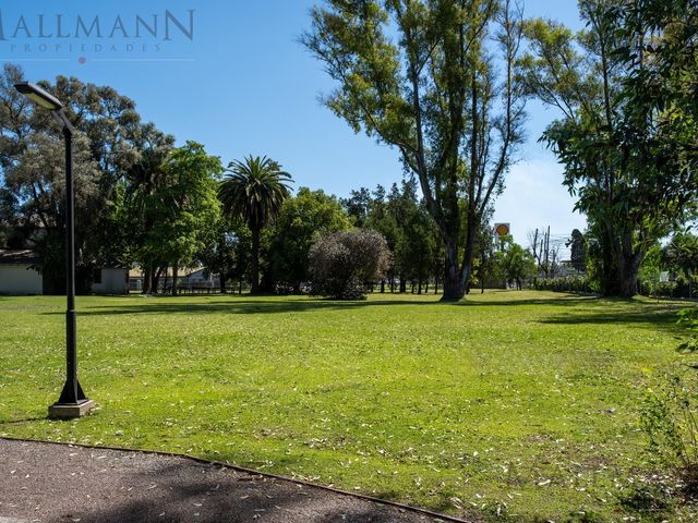 place photo 21