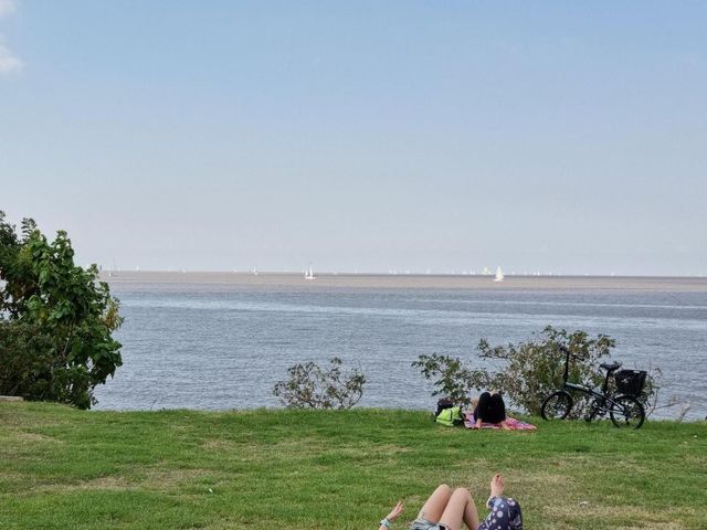 place photo 17