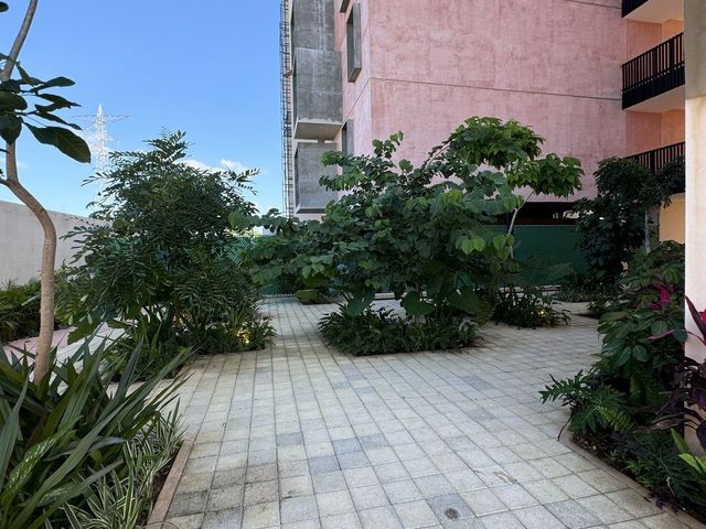 place photo 34