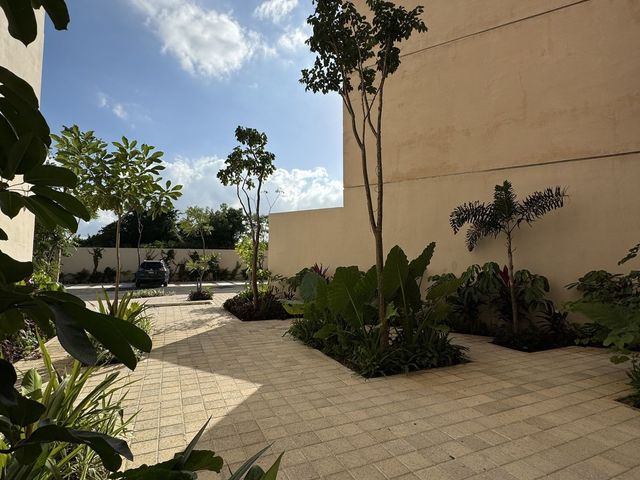 place photo 35