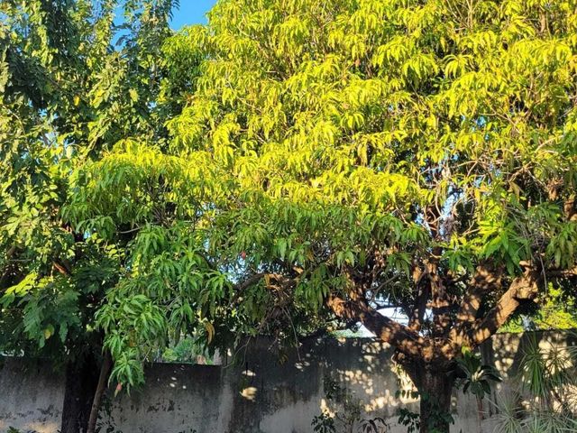 place photo 46