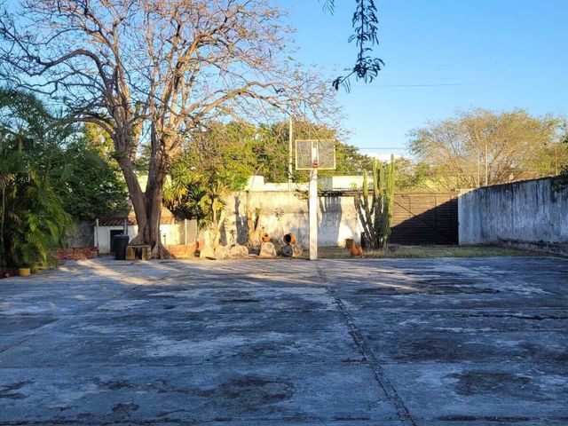 place photo 40