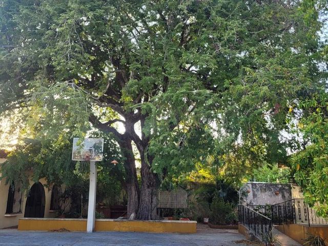 place photo 45