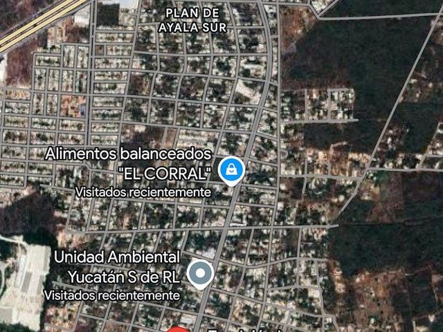 place photo 5