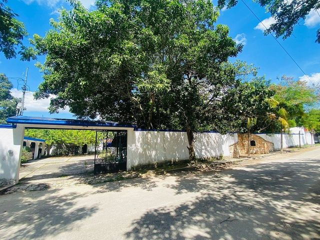 place photo 33