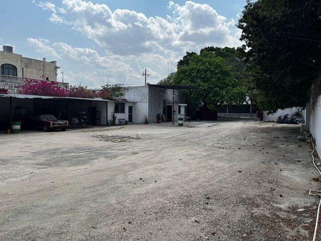 place photo 10