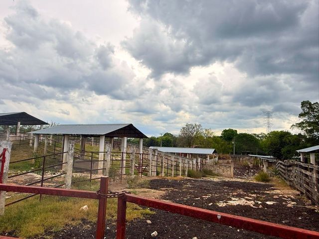 place photo 21