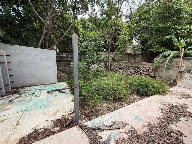 place photo 22