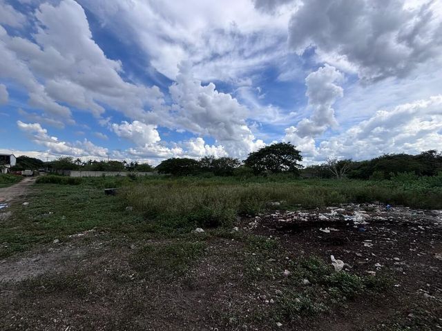 place photo 12
