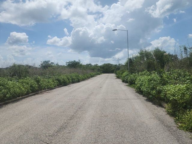 place photo 10