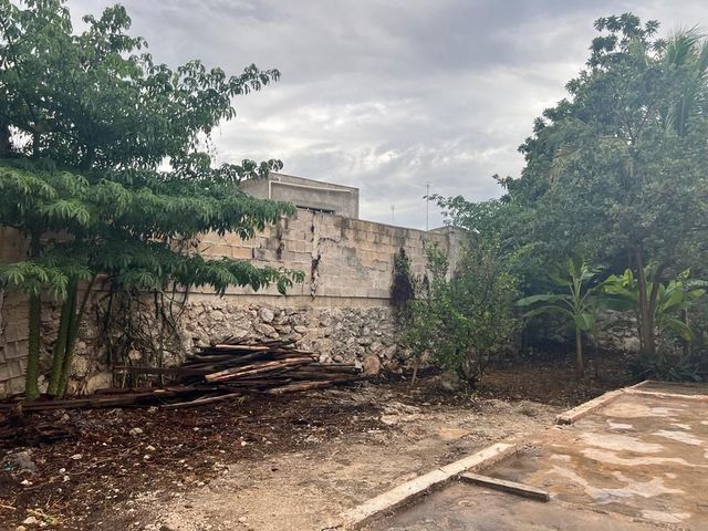place photo 21