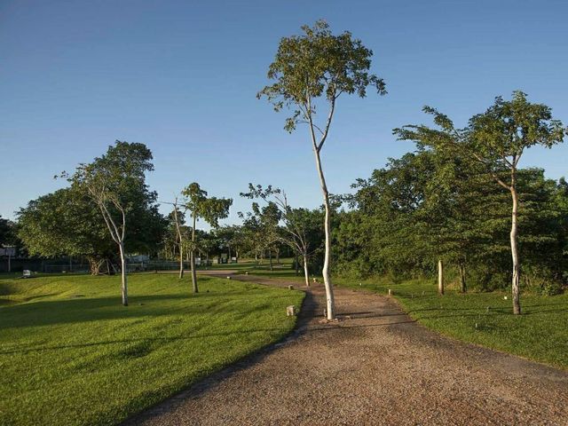 place photo 46
