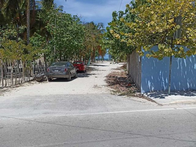 place photo 26