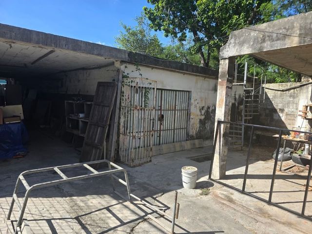 place photo 19