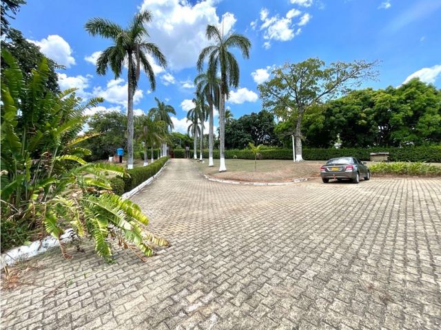 place photo 43
