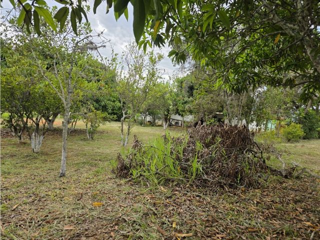 place photo 40