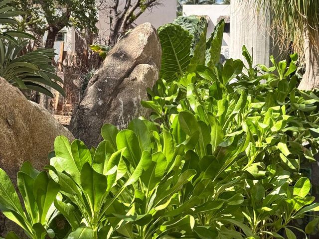 place photo 33