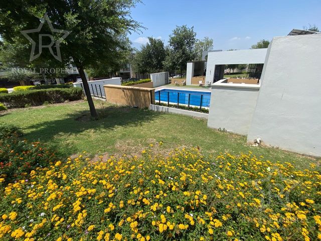 place photo 46