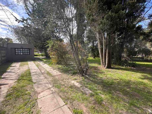 place photo 56
