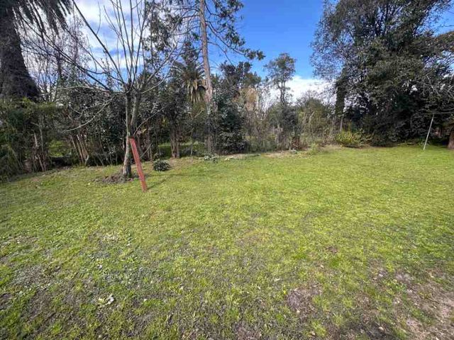 place photo 47