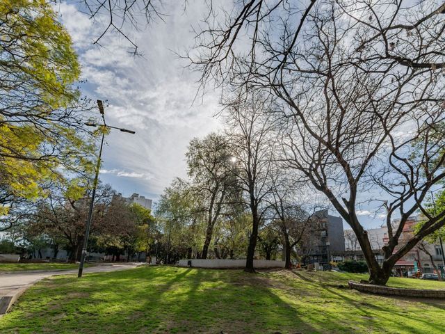 place photo 41