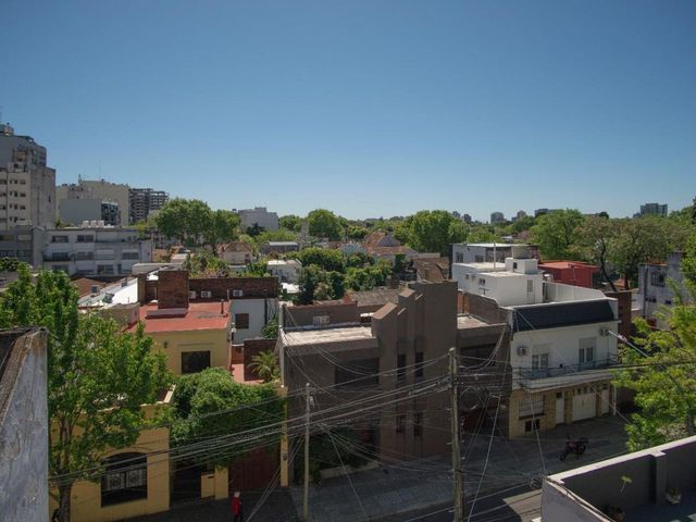 place photo 28