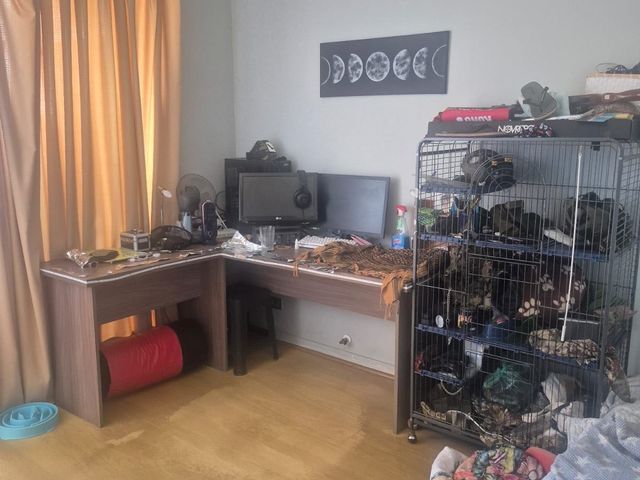 place photo 14