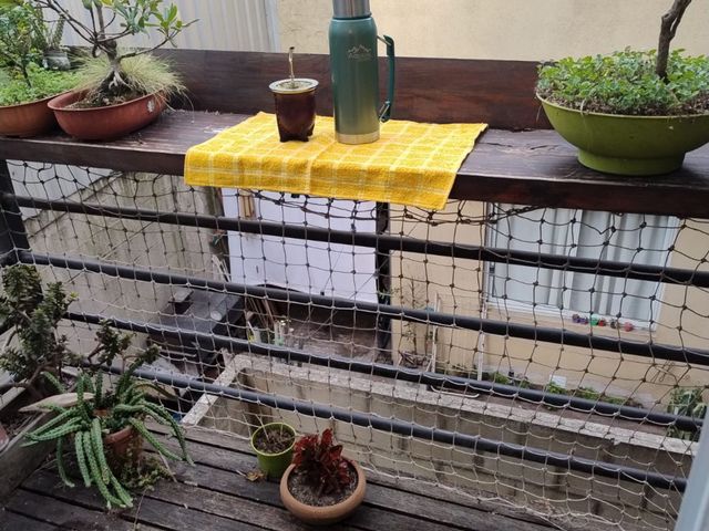 place photo 10