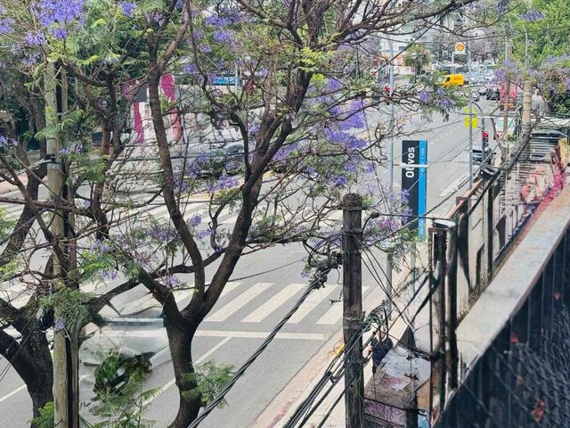 place photo 40
