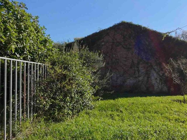 place photo 39