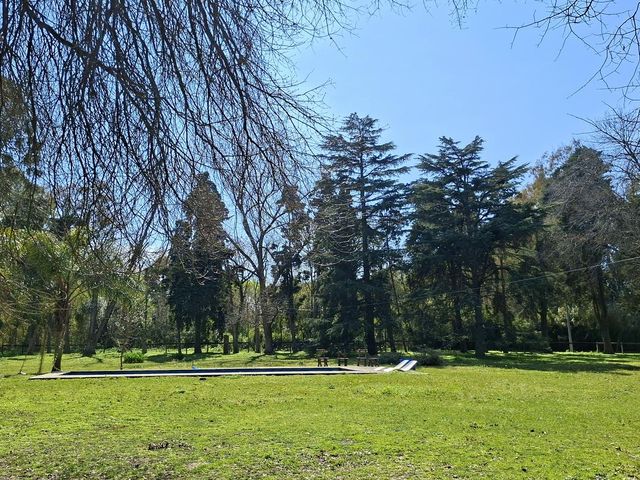 place photo 23