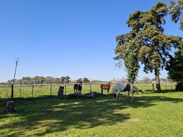 place photo 36