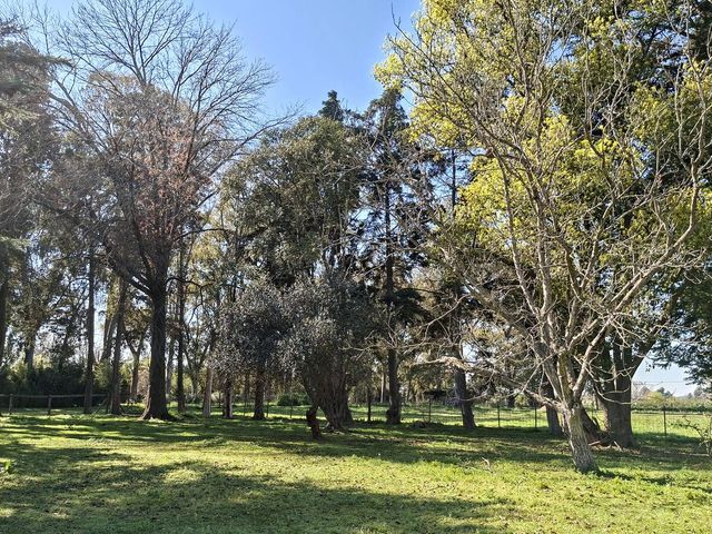 place photo 31