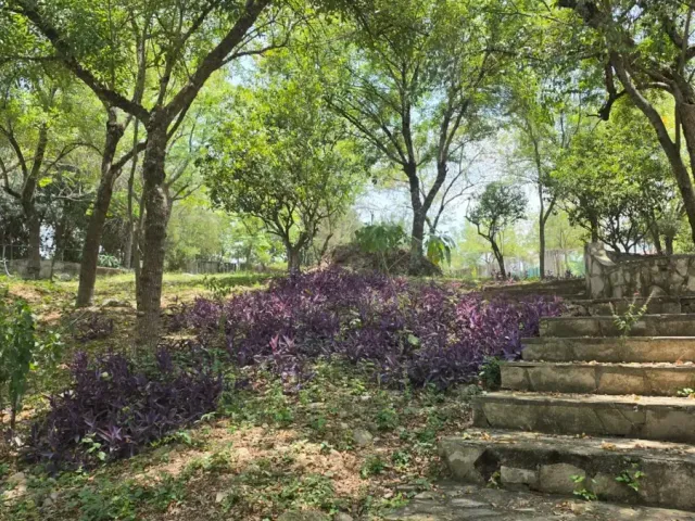 place photo 20