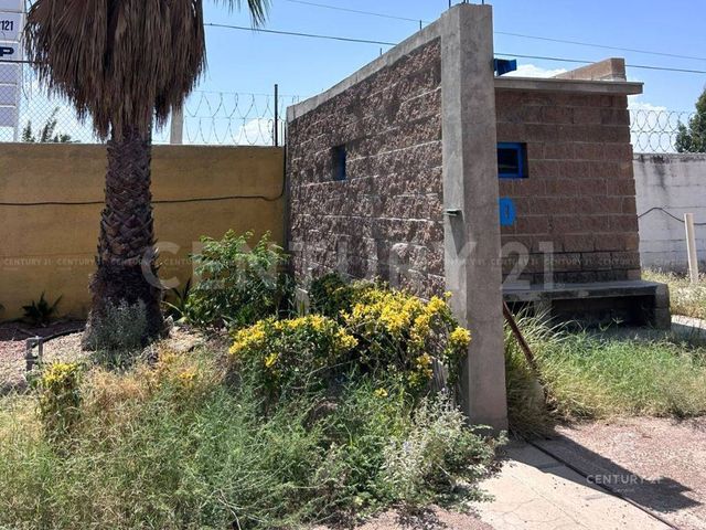 place photo 6