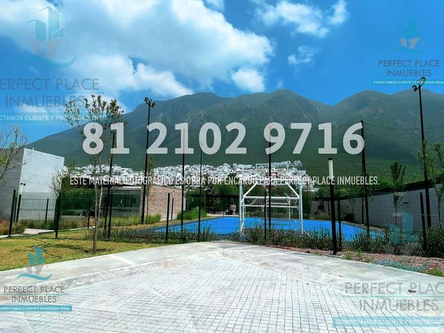 place photo 28
