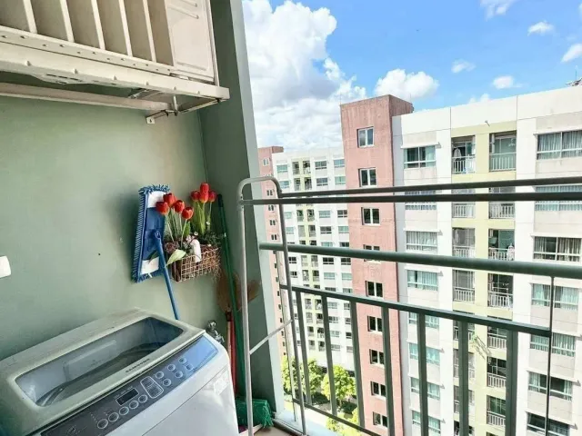 place photo 14