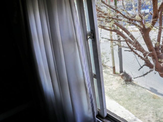 place photo 74