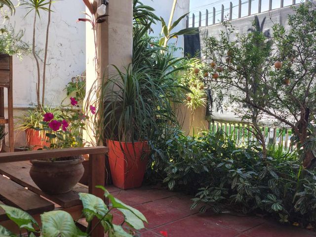 place photo 39