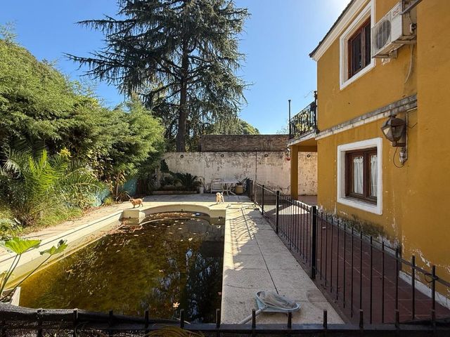 place photo 43